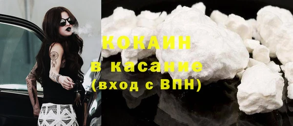 сатива Лихославль