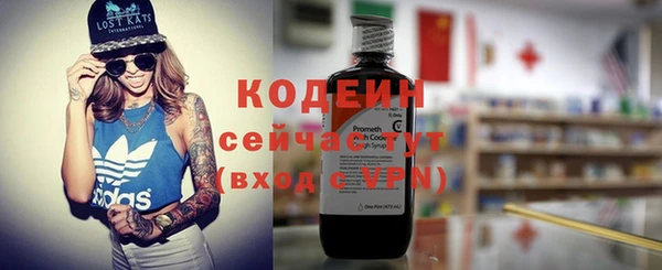 индика Магас