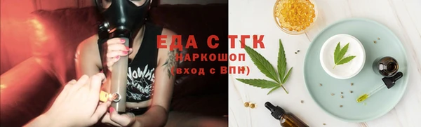 индика Магас