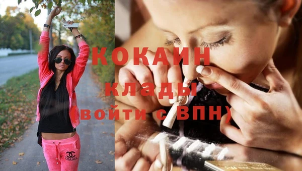 сатива Лихославль