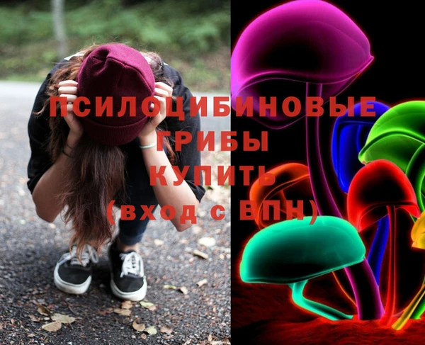 СК Снежногорск