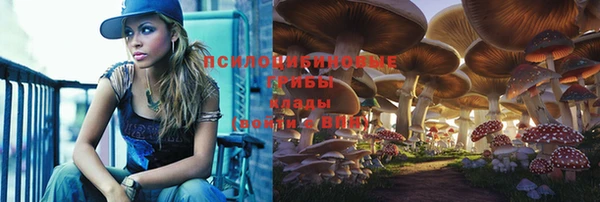 индика Магас