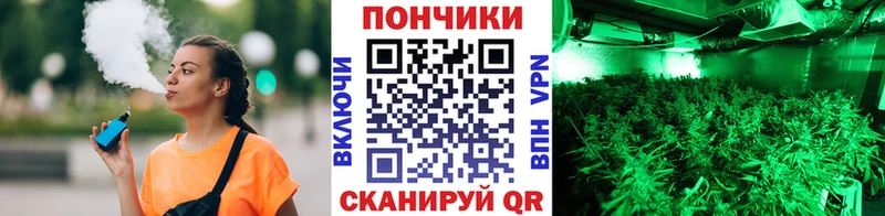 даркнет сайт  Маркс  Марихуана SATIVA & INDICA 